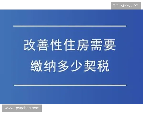 足球明星包机费用揭秘一次性支出与多次包机的成本对比分析