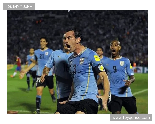 乌拉圭足球明星有哪些知名球员及其精彩瞬间图片分享